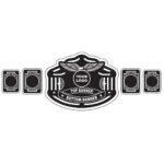 Championship Belt of Solid Metal - Image 3