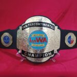 Wrestling Belt for Award Sports - Image 4