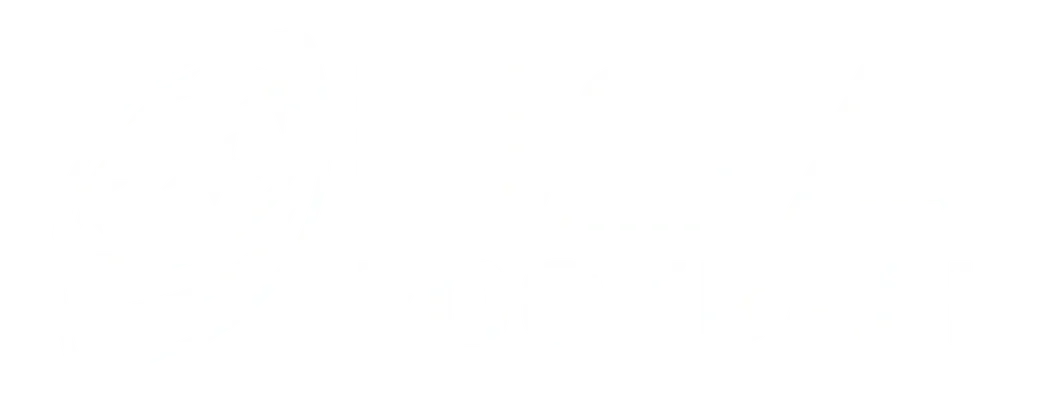 Usa_football_body_logo